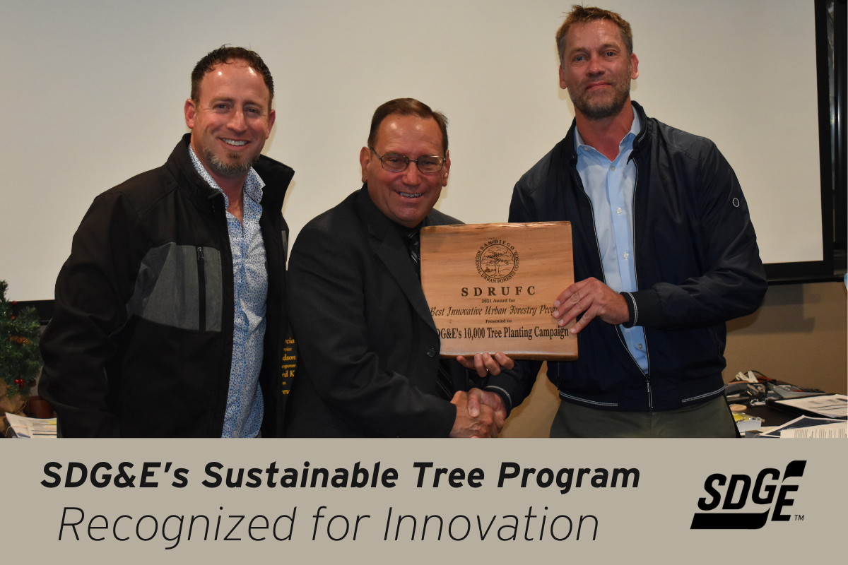 SDG E s Sustainable Tree Program Recognized For Innovation SDGE San Diego Gas Electric